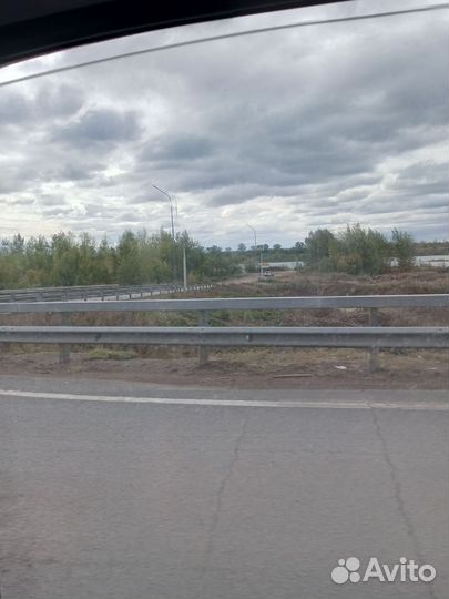 Собаки щенки бесплатно