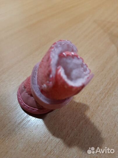 Сапожки для животных