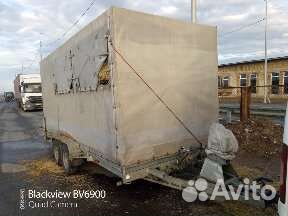 Перевозка животных,лошадей,жеребят и крс