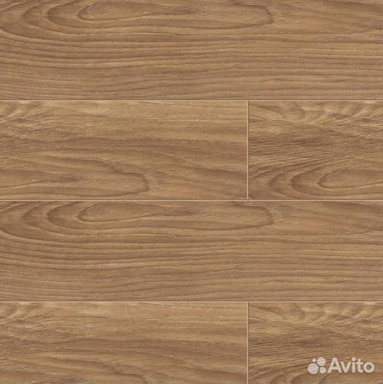 Паркет / Клеевая паркетная доска дуб