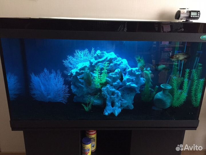 Обслуживание, чистка аквариумов по Москве И обл