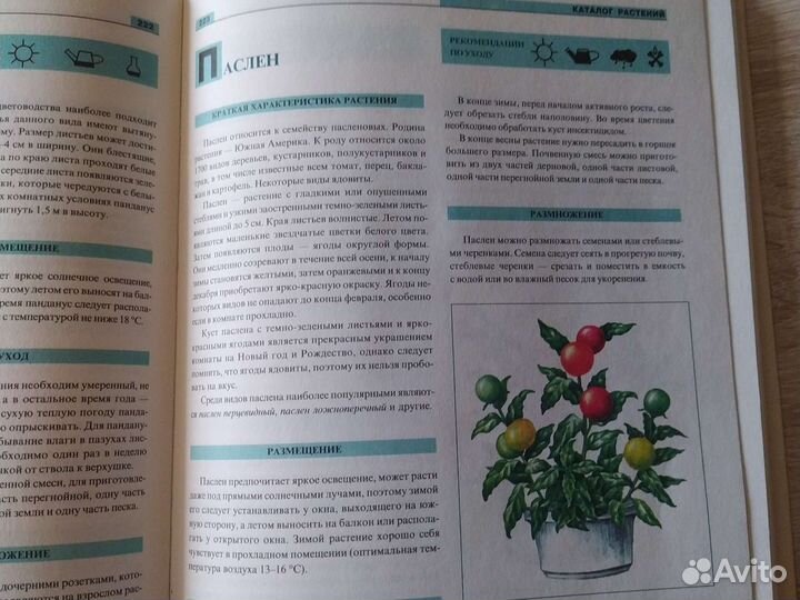 Книга энциклопедия комнатных растений