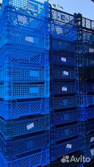 Продам грибные ящики