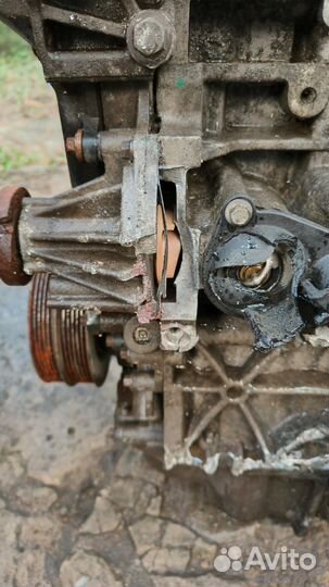 Двигатель для ford focus 2 форд фокус 2 1,6 shda