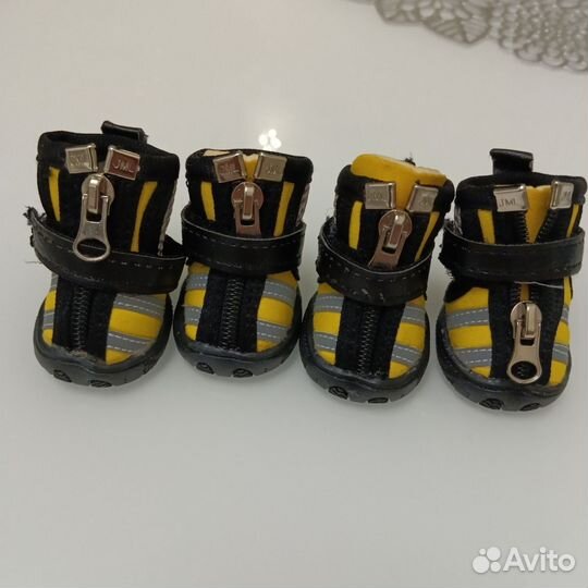 Сапожки для собачки