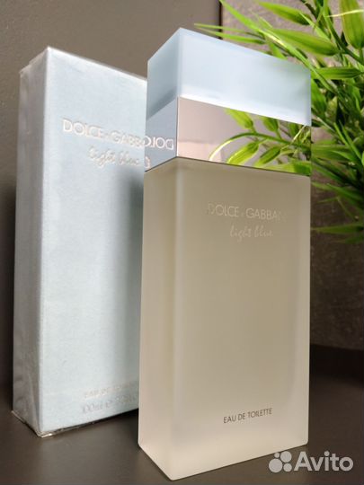 Dolce gabbana light blue 100 ml