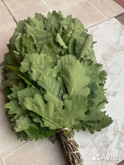 Банные веники