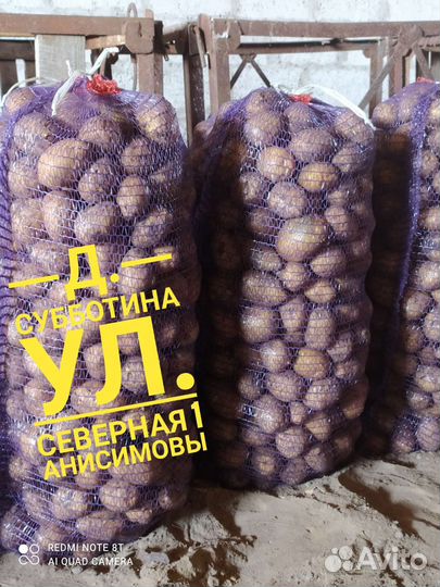 Продам картофель(овощи) опт и розница