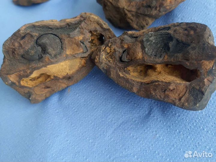 Натуральные минералы:Кварц,аметист,гетит