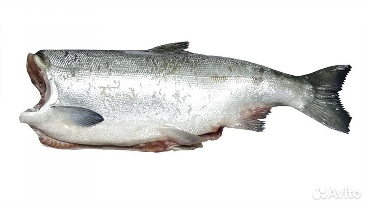 Кижуч свежемороженый