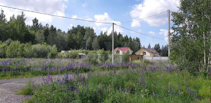 Участок 19 сот. (СНТ, ДНП)