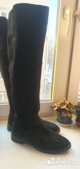 Ботфорты женские натуральная замша