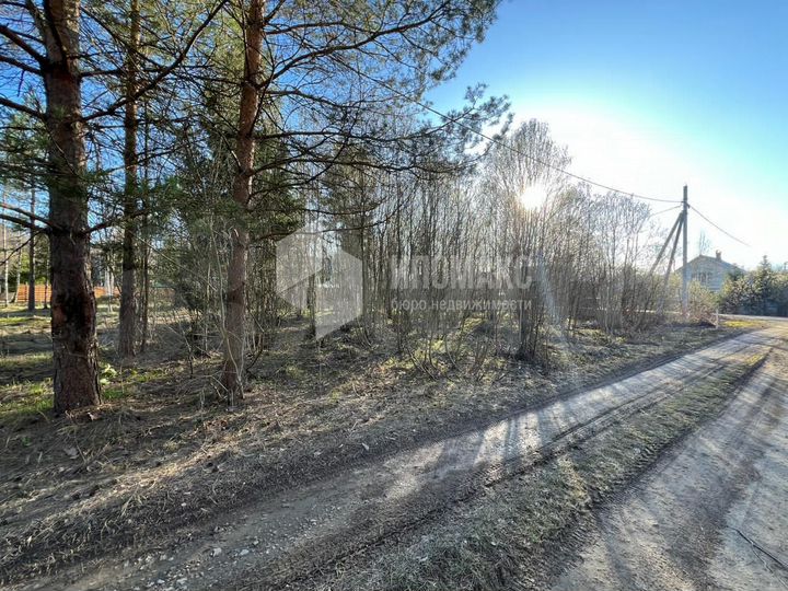 Участок 6,6 сот. (СНТ, ДНП)