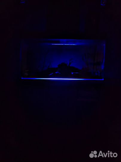 Аквариум 200 л