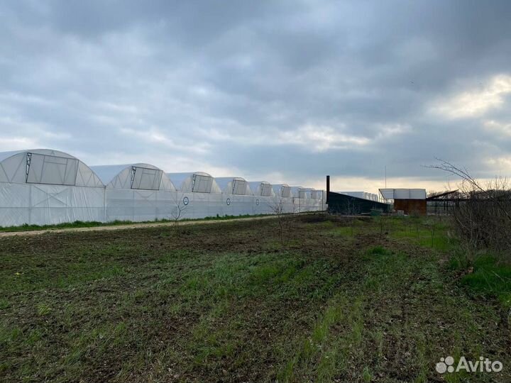 Тепличный комплекс