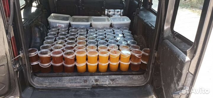 Пасека Пчелы 60шт