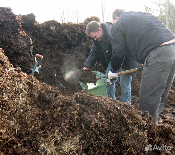 Конский навоз И перегной