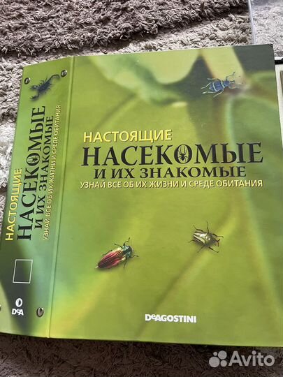 Коллекция «Насековмые и их знакомые»