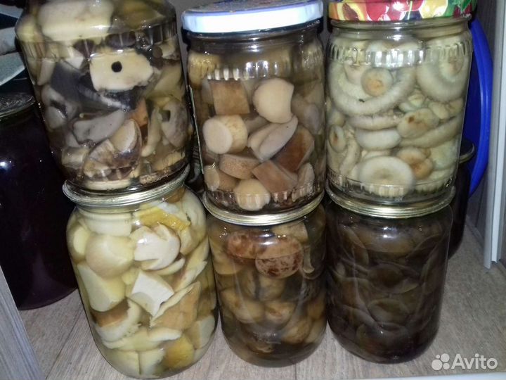 Маринованные опята, рыжики, подбер-ки, волнушки