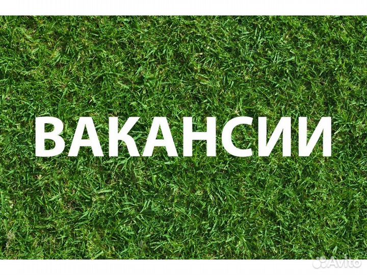 Водитель 