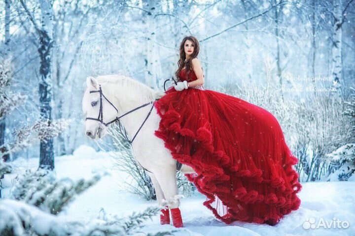 Пони, лошади, кареты. Конные прогулки