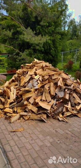 Дрова Осина привезем любого объема в Приозерск кач