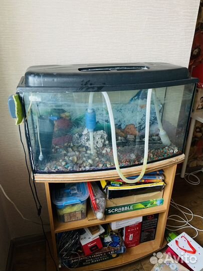 Аквариум 100 литров