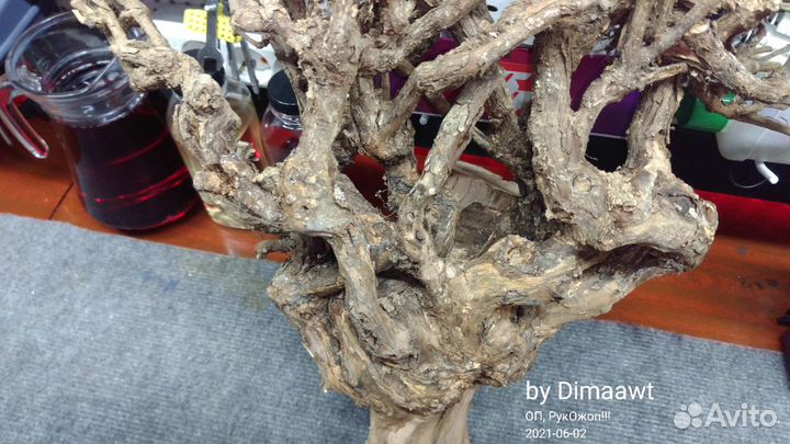 Корень Винограда для декора