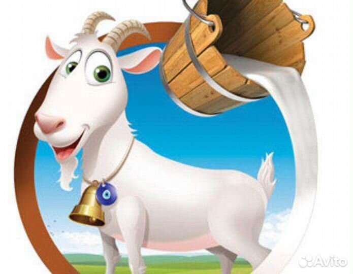 Козье молоко