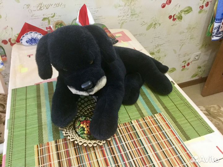 Собака черная