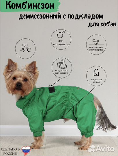 Комбинезон для собаки (мальчик)