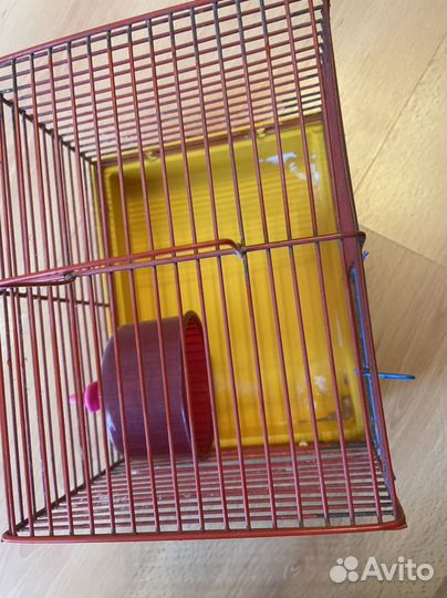 Клетка для джунгарского хомяка