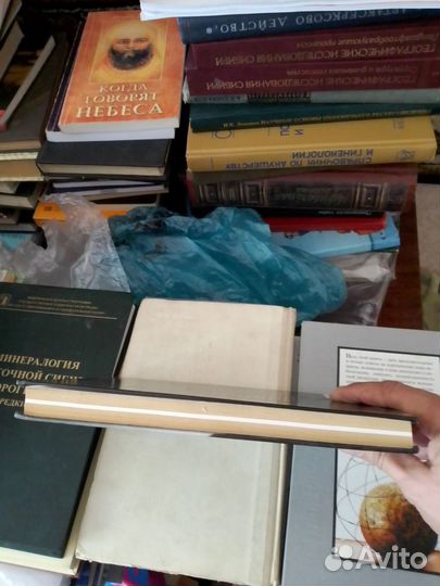 Нижинский В. Чувство. Тетради