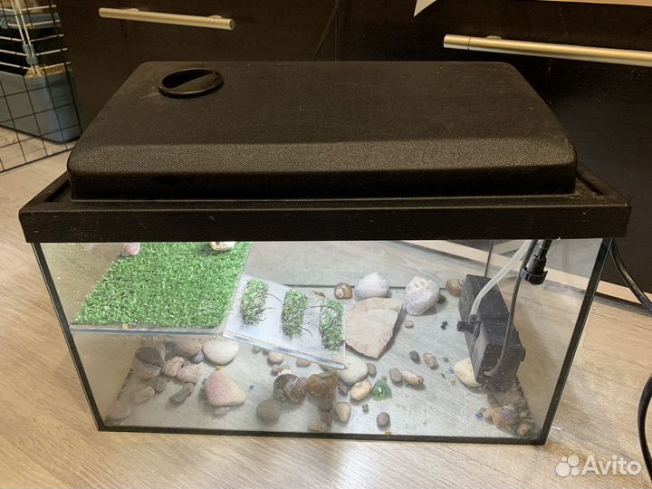 Террариум для черепахи