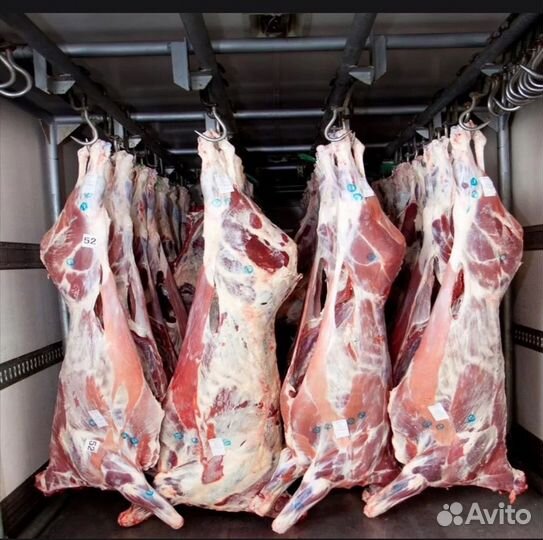 Мясо оптом