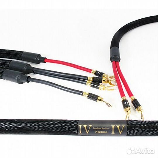 Purist Audio Design Neptune Speaker Ban-Ban 2.0m