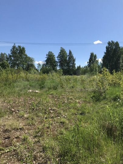 Участок 10 сот. (ИЖС)