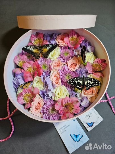 Ферма-бабочек