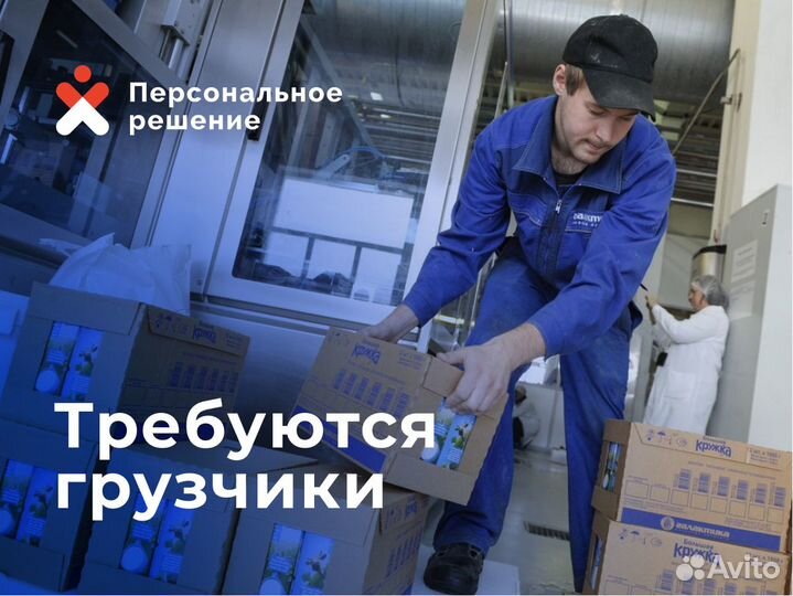 Грузчики оплата ежедневная