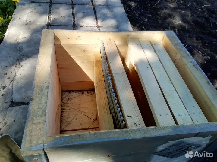 Продам нуклеусы