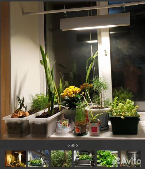 Для растений фито гроубоксов LED 80W