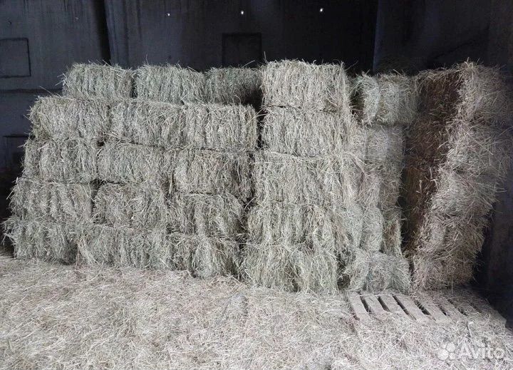 Сено просо квадратные тюки
