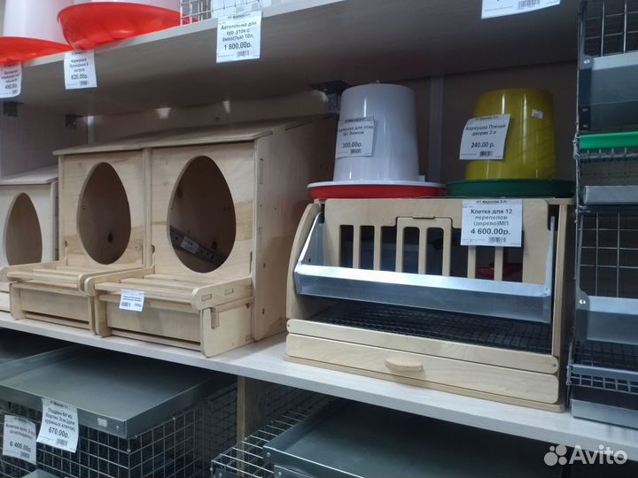 Деревянные клетки для перепелов