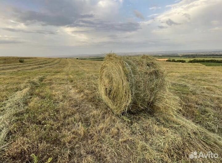 Продажа сена в рулонах