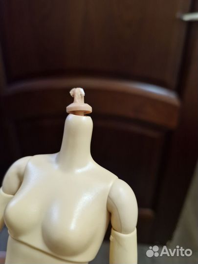 Тело барби mtm скинтон warm ivory