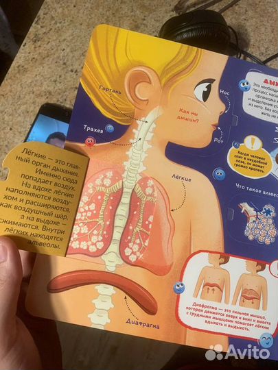 Развивающие книжки подарок азбука космос анатомия