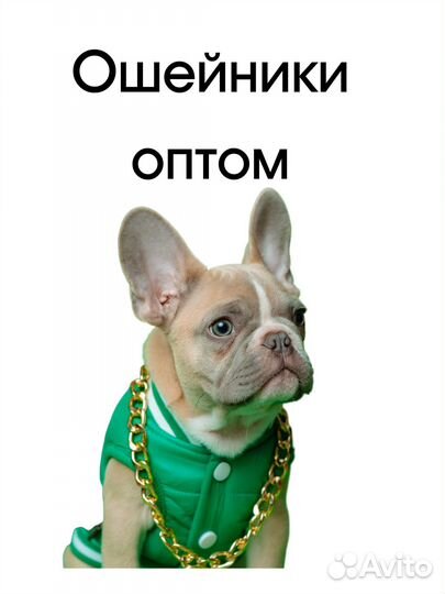 Ошейники амуниция оптом