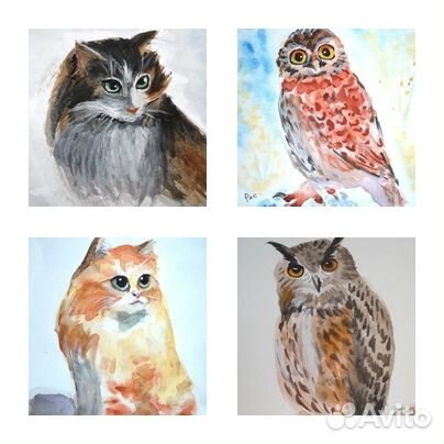 Картины акварель цветы пейзаж кошки птицы этюды