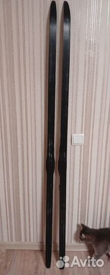 Беговые лыжи Fisher rcr universal Jr IFP, 177CM