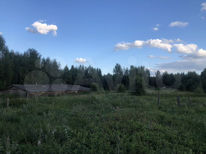 Участок 6,5 га (СНТ, ДНП)